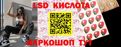 стаф Новодвинск