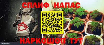 стаф Новодвинск