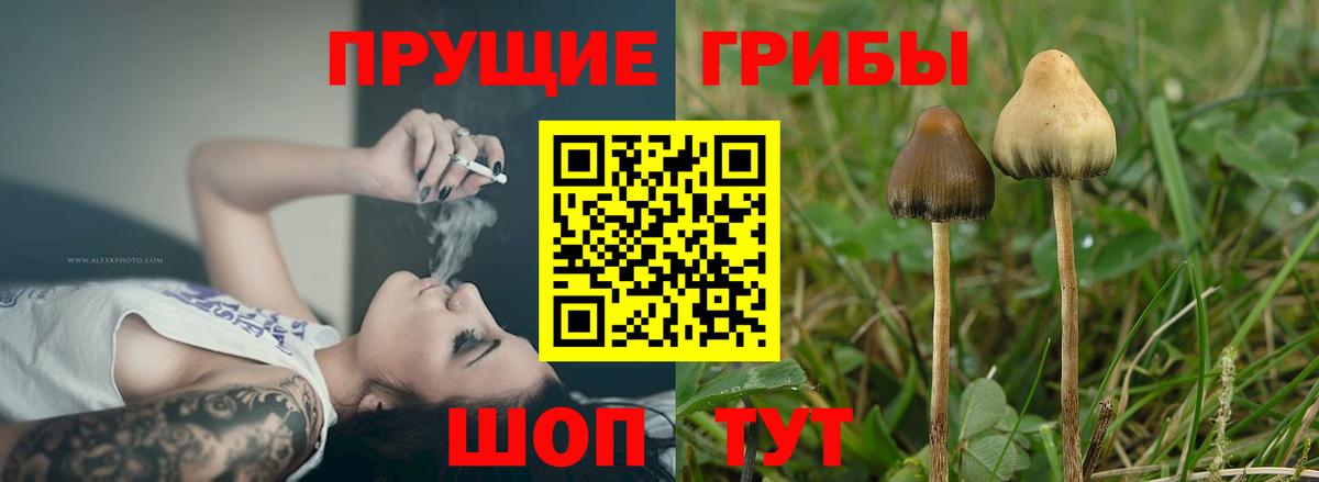 Галлюциногенные грибы мухоморы  Вход с VPN  Галлюциногенные грибы Cubensis  Сокол 