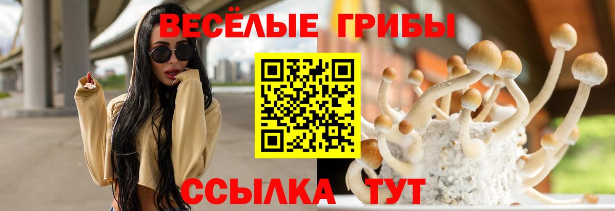 Галлюциногенные грибы мицелий Сокол